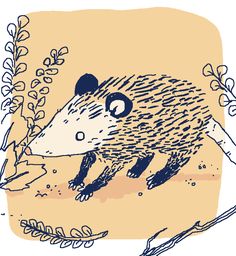 an illustration of a hedgehog walking through the grass and plants in front of it