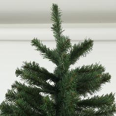 a close up of a small pine tree in a pot on a table with white walls