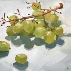 an oil painting of green grapes on a white background