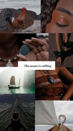 the ocean is calling collage with pictures of people in boats and roosters on them