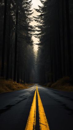 an empty road in the middle of a forest with yellow lines painted on it's sides