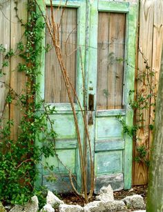 an old green door with vines growing on it and a tree in the foreground