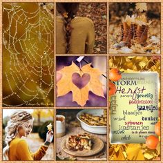 a collage of photos with autumn leaves and words on them, including an orange maple leaf