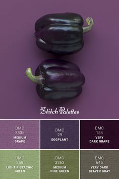 an eggplant is shown in shades of purple, green, and brown with the words stitch palletos on it