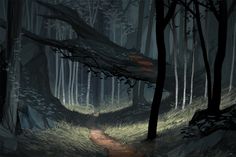 a path in the middle of a dark forest