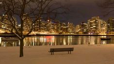 a bench sitting in the snow next to a tree with lights on it and buildings in the background