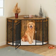 a golden retriever sitting in front of a dog gate