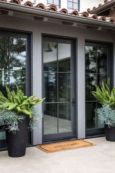 two large potted plants sitting on the side of a building next to a door