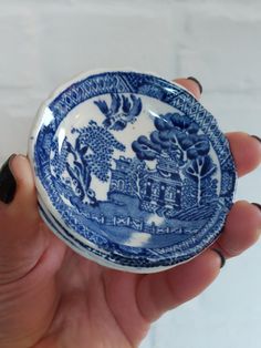 a person holding a blue and white plate in their hand