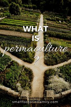 what is permaculture and how does it mean to be there in the garden?