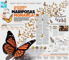 an image of butterflies flying in the air with captioning below that reads, astando el video marposas monaraca