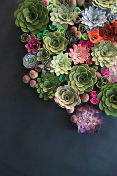 colorful succulents are arranged in the shape of a heart on a blue background