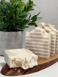 soap bars sitting on top of a wooden board next to a potted plant