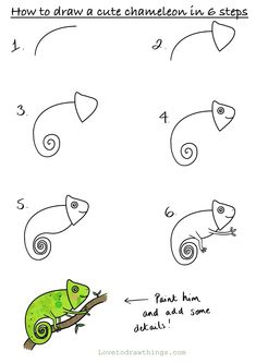 how to draw a chamelon in 5 steps step by step drawing for kids