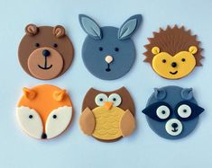 six decorated cookies are arranged in the shape of animals and bears on a blue background