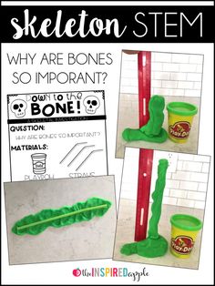 The Skeletal System, Body Preschool, 1st Grade Science, First Grade Science, Skeletal System