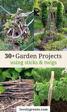 Artwork Diy, Garden Wallpaper, Garden Artwork, Creative Gardening, Plant Supports, Diy Garden Projects, Art Garden, Garden Features, Garden Trellis