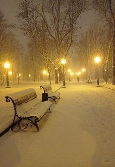 a park bench covered in snow with street lamps on either side and trees at night