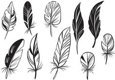 black and white feathers with different designs on them, set of six illustrations for the design of