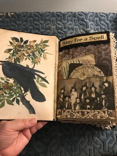 an open book with pictures of birds and people on it, in someone's hand