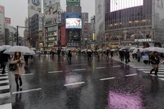 many people with umbrellas cross the street in the rain on a busy city street