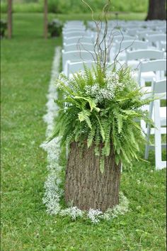 an outdoor ceremony setup with chairs and flowers in the center, along with a tree trunk