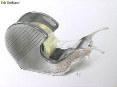 a pencil drawing of a snail in a silver helmet with a yellow stripe around its neck