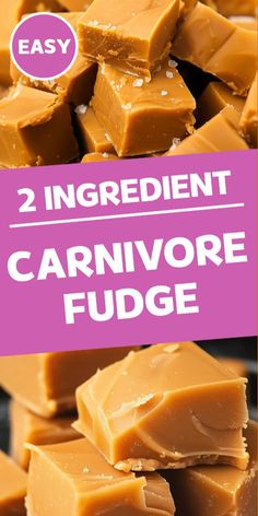 two ingredient carnivor fudge is the best way to use it for dessert