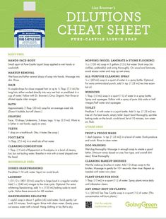 a brochure with instructions on how to use the dictions sheet for cleaning