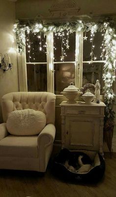 a cat sleeping on top of a dog bed in front of a window with christmas lights