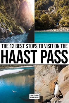 the 12 best stops to visit on the haast pass