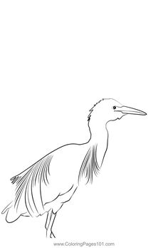 a black and white drawing of a bird with long legs, standing on one leg