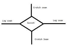 the structure of an organ diagram