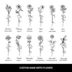 the names of different flowers and their meanings