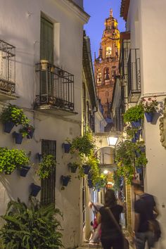 people are walking down an alley way in the city at night with potted plants on either side