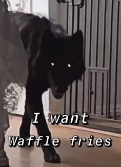 a black cat walking across a wooden floor in front of a gate with the caption i want waffle fries