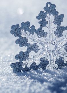 a snowflake is shown in the middle of the image, it appears to be frozen