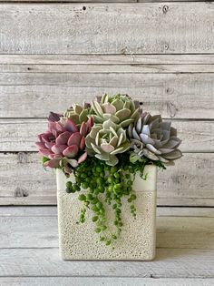 a white vase filled with lots of different types of succulents on top of a wooden table