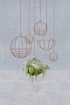 three hanging planters with plants in them on a concrete wall and one hanging from the ceiling