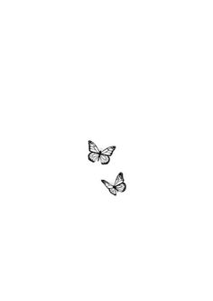 two butterflies flying in the sky on a white background