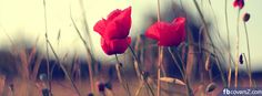 two red flowers are in the middle of some tall grass, and there is no image to describe