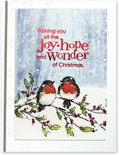 a christmas card with two birds sitting on a branch in front of the words, wishing you all the joy hope and wonder of christmas