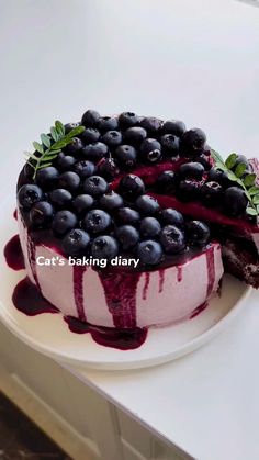 a cake with blueberries on it sitting on top of a white plate next to a knife