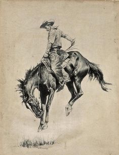 a drawing of a man riding on the back of a bucking bronco horse