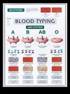 the blood typing poster shows different types of blood and their corresponding functions, including letters