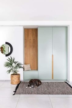 a dog is laying on the floor in front of a blue cabinet and door with a mirror