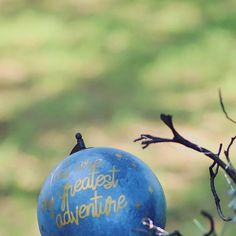 a blue ball with the words greatest adventure written on it sitting in a tree branch