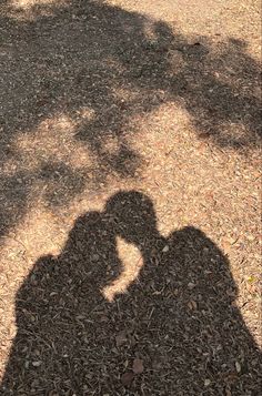 the shadow of a person's hand holding a cell phone on top of mulch