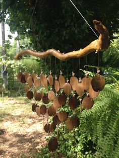 a wooden wind chime hanging from a tree branch