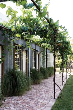 an outdoor area with brick walkway and green plants